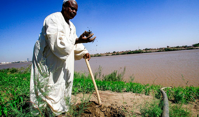 الحرب تلقي بظلالها على موسم الحصاد في السودان