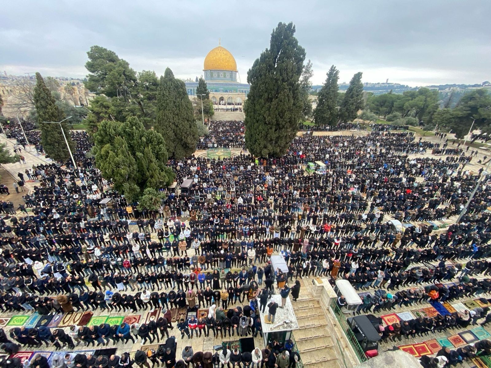 صورة واتساب بتاريخ 2025-03-07 في 12.51.56_ce991c7d.jpg