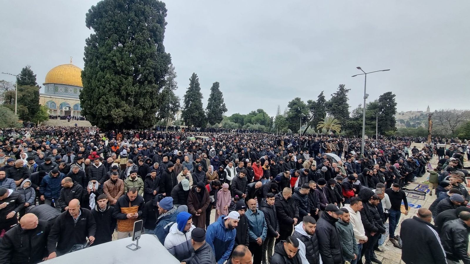 صورة واتساب بتاريخ 2025-03-07 في 12.51.54_07b34235.jpg