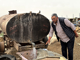 الضفة: مستوطنون يسرقون ألف رأس ماعز من حظيرة