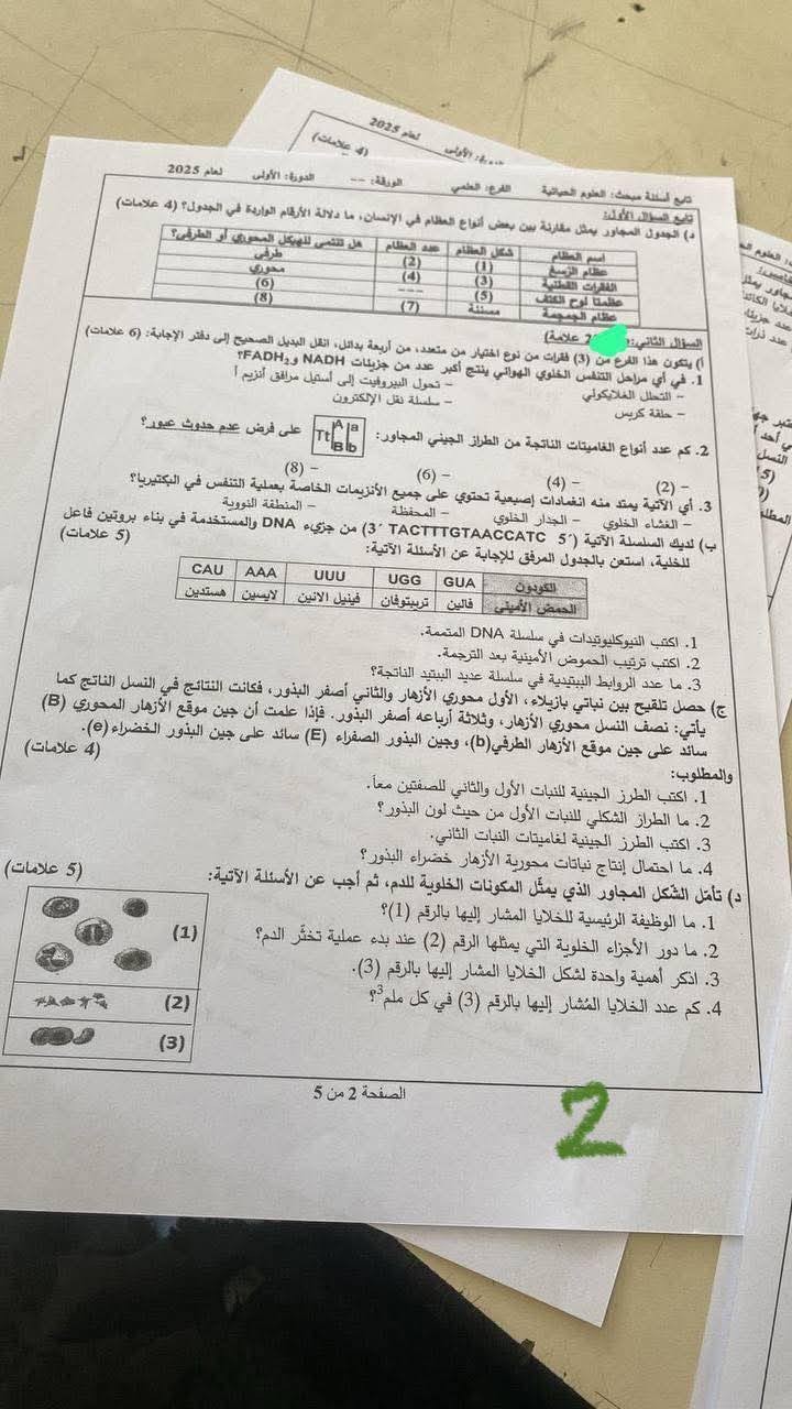 أحياء 2.jpg