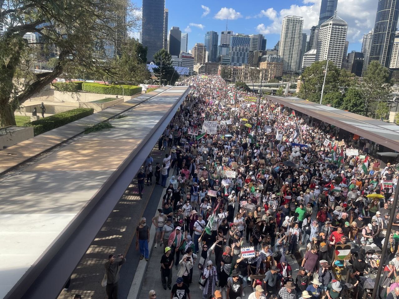 photo_٢٠٢٥-٠٨-٢٤_١١-٠٢-٤٦ (2).jpg